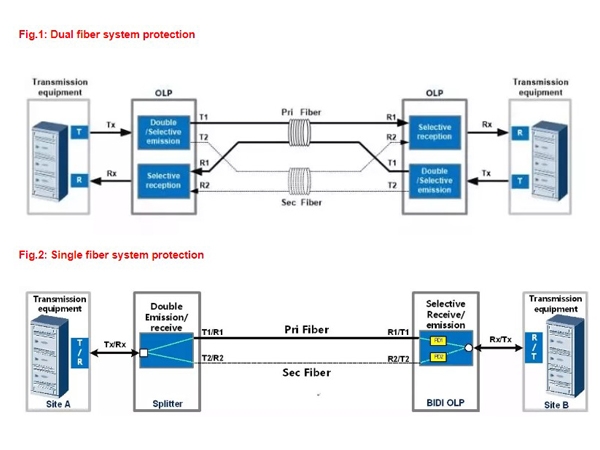 What is OLP in DWDM ( Optical Line Protection) ?