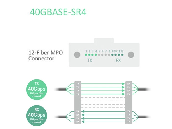 Pourquoi avons-nous besoin d‘un connecteur MPO à 8 fibres ?