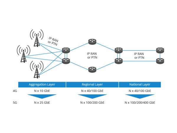 How to set up a 100G metropolitan area network?