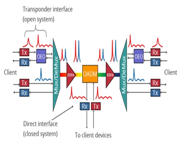 What Is Active DWDM Network?
