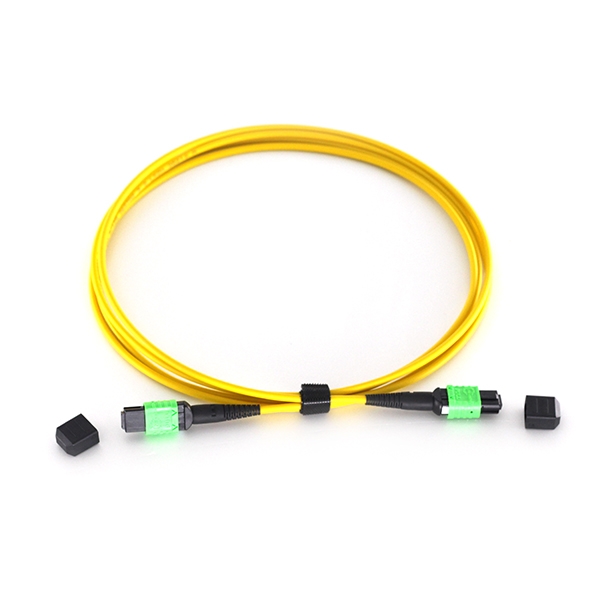 MPO Female to MPO Female 12 Fibers OS2 9/125 Single Mode Trunk Cable